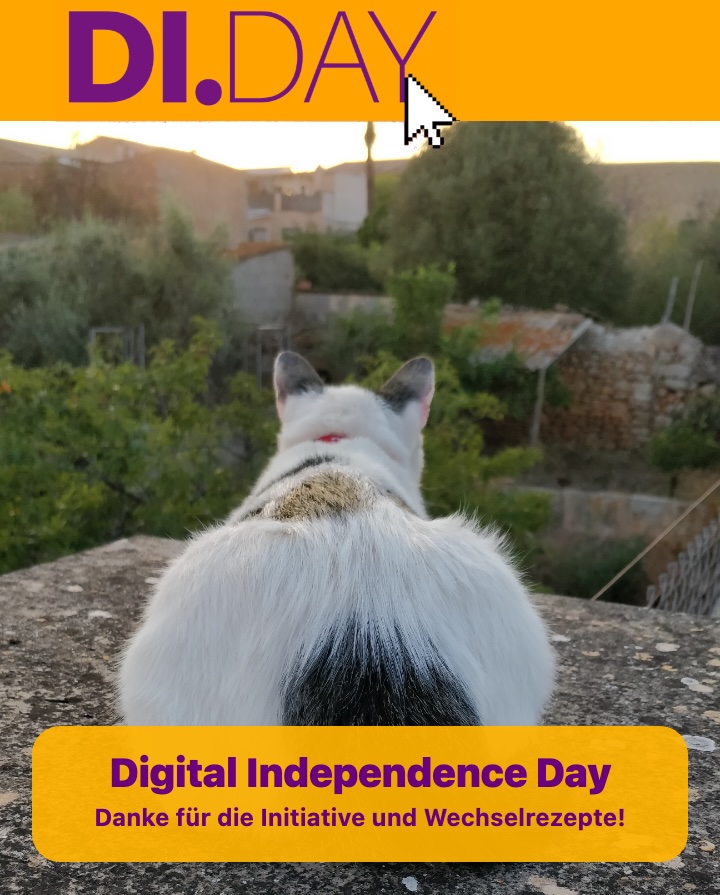 DI.day Danke mit Katze sagt DoSchu